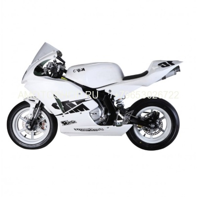 Мотоцикл для ШКГ MINI-GP 250